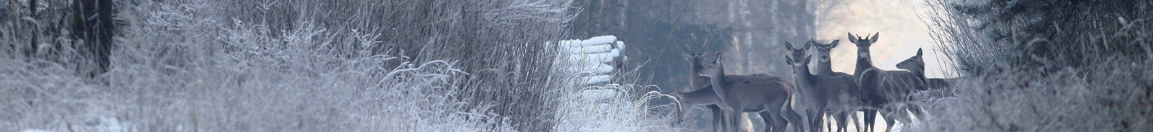 Żerkowsko-Czeszewski Park Krajobrazowy okolice Miłosławia